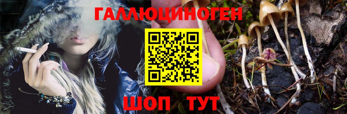 где можно купить   Вход с VPN  Сатка  Галлюциногенные грибы Magic Shrooms 